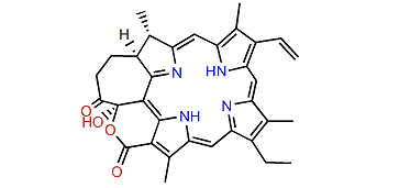 Chlorophyllone lactone a